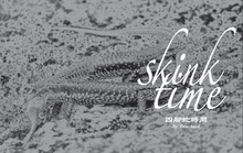 Load image into Gallery viewer, TSR Issue 5