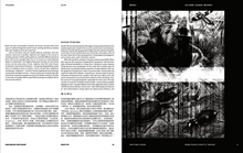 Load image into Gallery viewer, TSR Issue 5