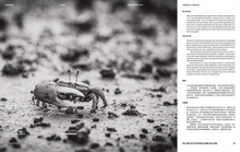 Load image into Gallery viewer, TSR Issue 5