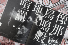 Load image into Gallery viewer, TSR Issue 4