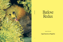 Load image into Gallery viewer, WF Issue 17