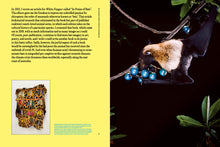 Load image into Gallery viewer, WF Issue 17