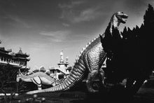 Load image into Gallery viewer, WF Issue 17