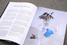 Load image into Gallery viewer, WF Issue 8