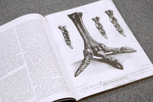 Load image into Gallery viewer, WF Issue 10