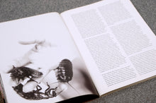 Load image into Gallery viewer, WF Issue 11 (+CD)