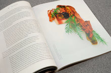 Load image into Gallery viewer, WF Issue 15