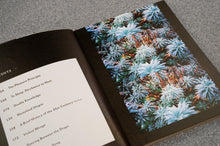 Load image into Gallery viewer, WF Issue 16