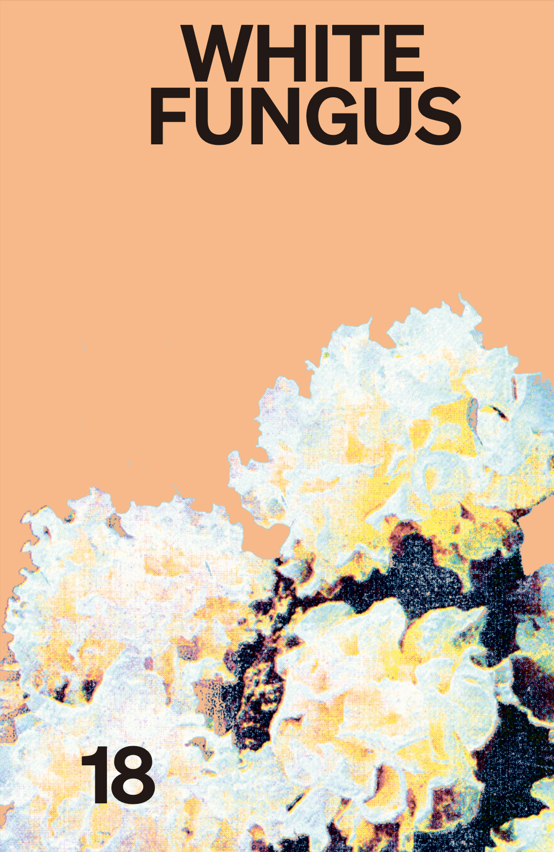 FUNGUS 完売間近！！ FUNGUS 完売間近！！ 【公式通販】
