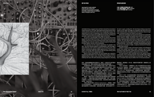 Load image into Gallery viewer, TSR Issue 5
