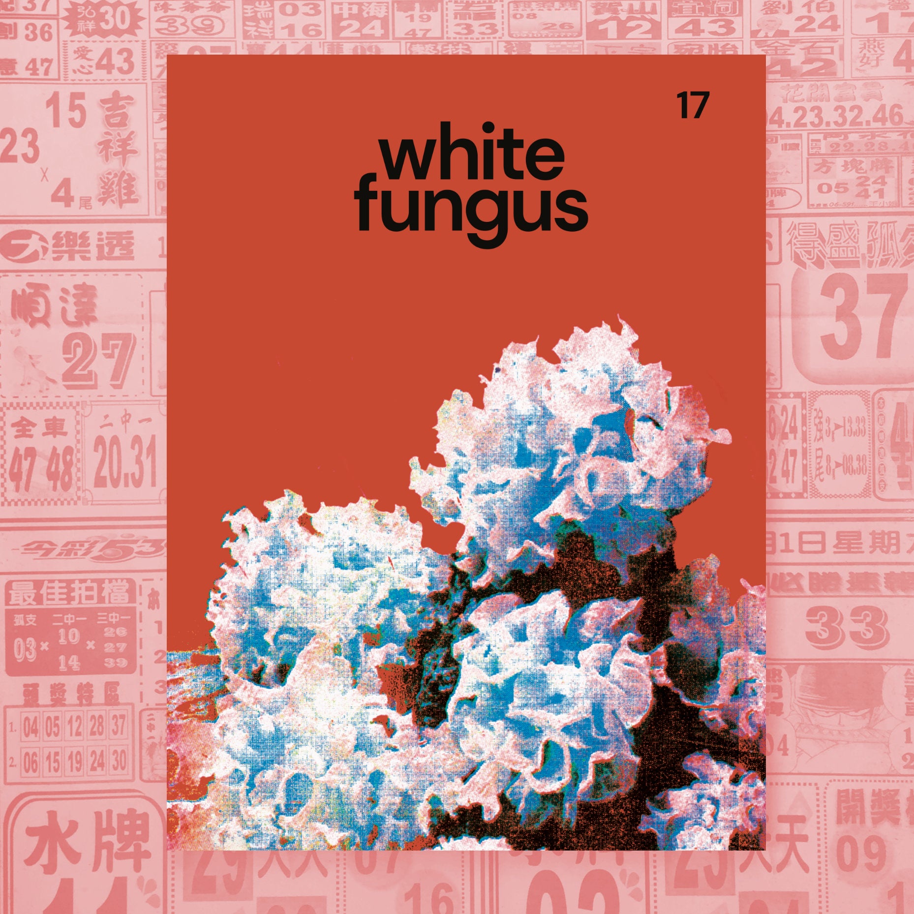 temporaryshopimageforWhiteFung